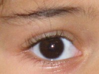 IMG_0019lefteya.jpg