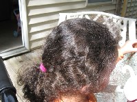 IMG_0043.jpg