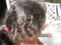 IMG_0045.jpg