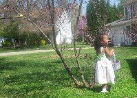 IMG_0300.jpg