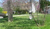 IMG_0301.jpg