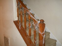 DSCN3414.JPG