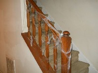 DSCN3414.JPG