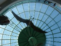DSCF0009.JPG