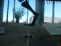 DSCF0015.JPG