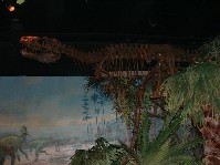 DSCF0022.JPG