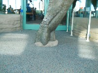 DSCN3620.JPG