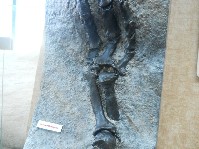 DSCN3626.JPG