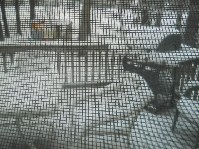 DSCN3696.JPG