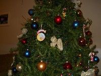 DSCN3706.JPG