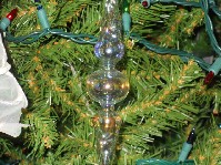 DSCN3717.JPG