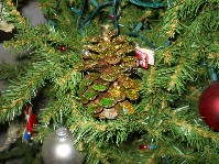 DSCN3721.JPG