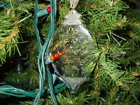 DSCN3728.JPG