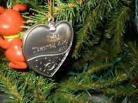 DSCN3730.JPG