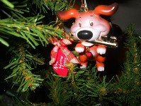 DSCN3732.JPG