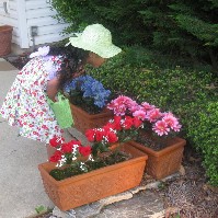IMG_0752.JPG