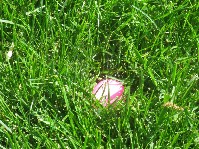 IMG_0765.JPG