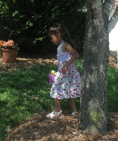 IMG_0770.JPG