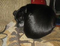 IMG_0869.jpg