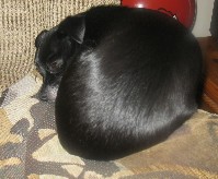 IMG_0870.jpg