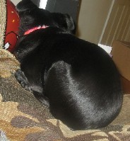 IMG_0874.jpg