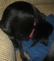 IMG_0883.jpg