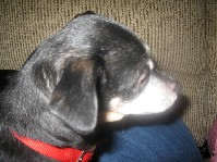 IMG_0884.jpg