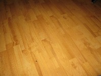 IMG_0887.jpg