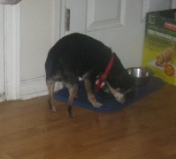 IMG_0889.jpg