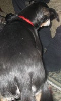 IMG_0890.jpg