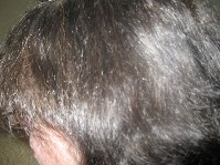 IMG_0927.jpg
