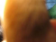 IMG_0930.jpg