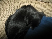 IMG_0935.jpg