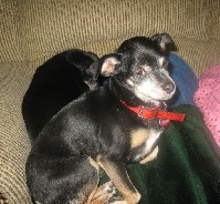 IMG_0938.jpg