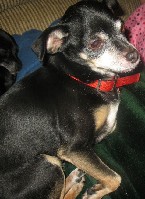IMG_0939.jpg
