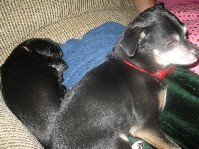 IMG_0940.jpg
