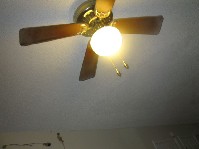 IMG_0941.jpg