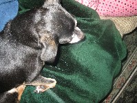 IMG_0944.jpg