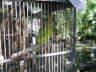 DSCN3994.JPG