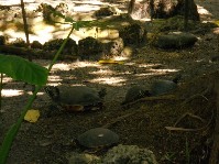 DSCN3996.JPG