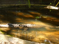 DSCN3997.JPG