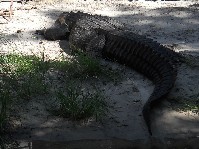 DSCN4004.JPG