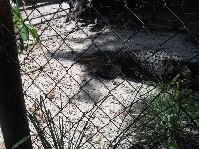 DSCN4005.JPG