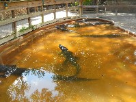 DSCN4006.JPG