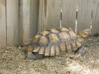 DSCN4008.JPG