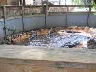 DSCN4009.JPG