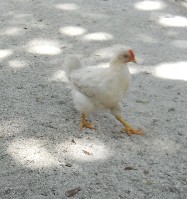 DSCN4010.JPG