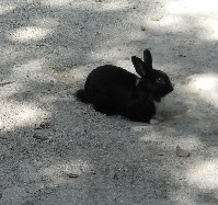 DSCN4013.JPG