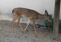 DSCN4017.JPG