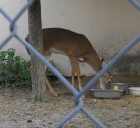 DSCN4018.JPG